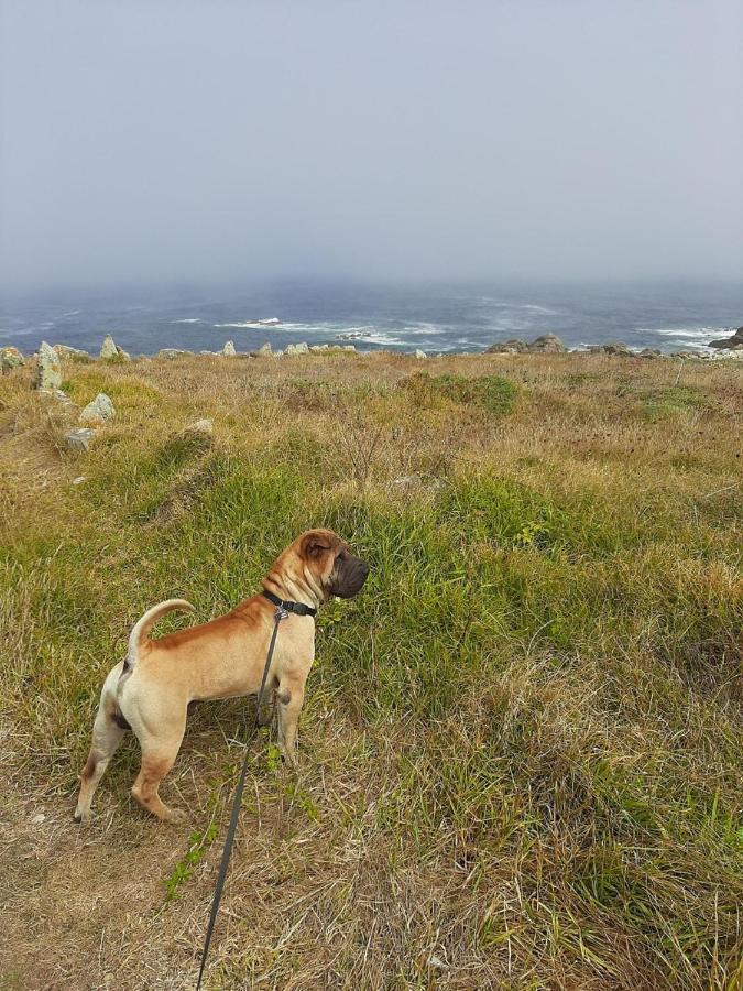 Dunas De Corrubedo Ribeira