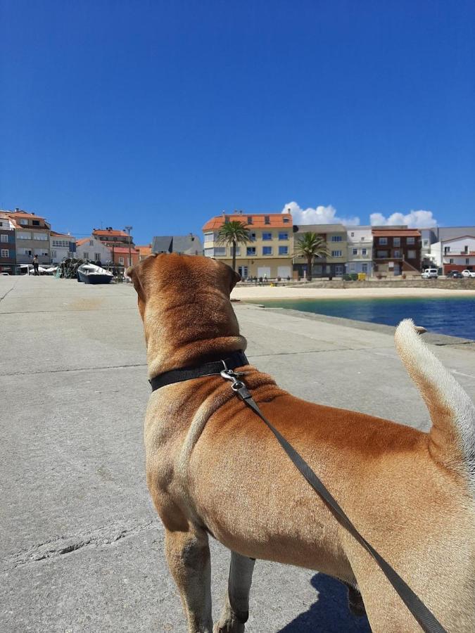 Dunas De Corrubedo Apartment