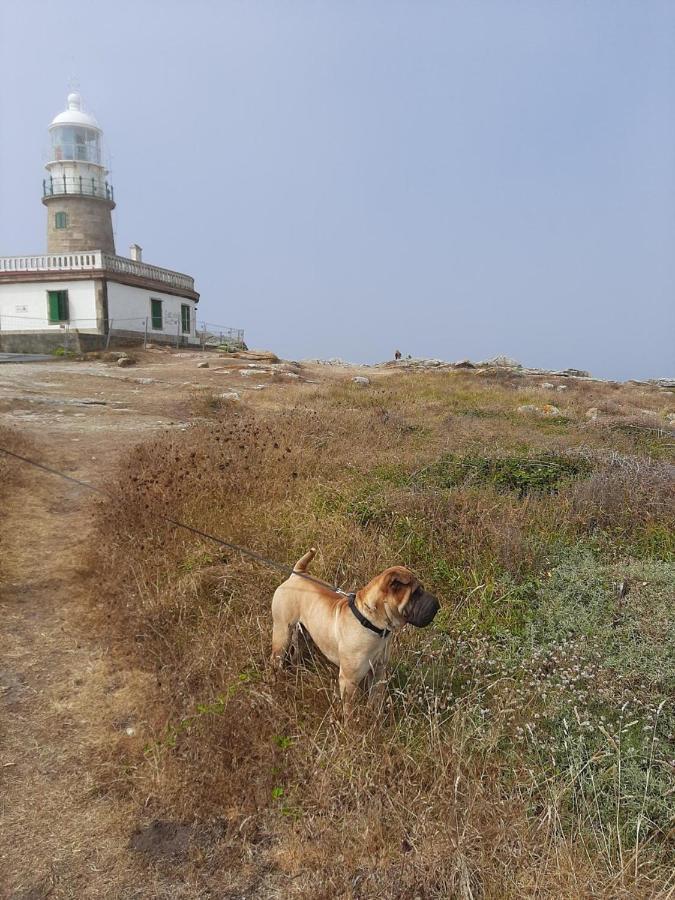 Dunas De Corrubedo *